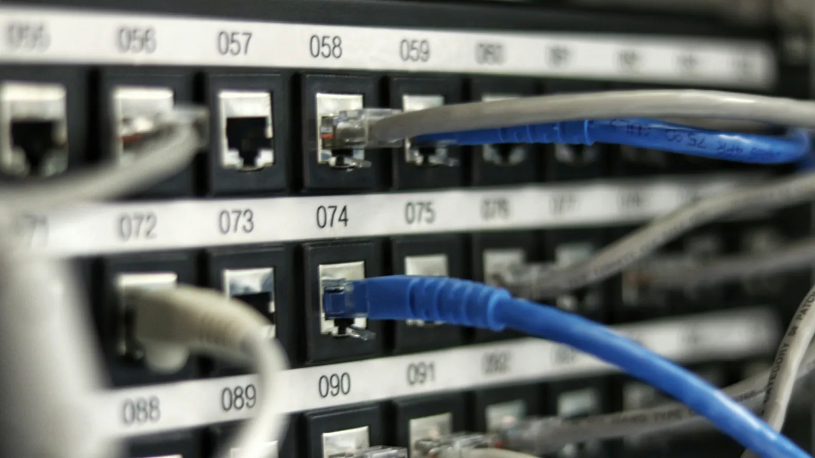 Ethernet cables in a numbered patch panel, illustrating Minecraft IP bans vs account bans